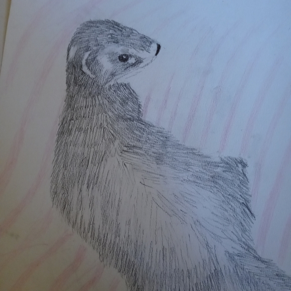 Charcoal sketches of you or your pet! - Picture 4 of 5